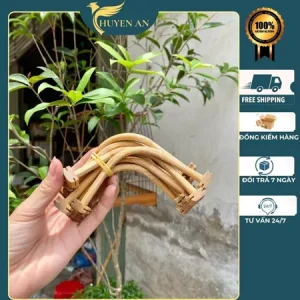 Cầu tre vuông