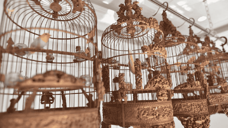 Chọn lồng chim theo chất liệu